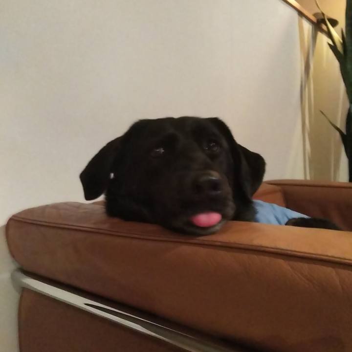 15509129 cf1b 4df2 8c30 66fa60325d03 1584356162413