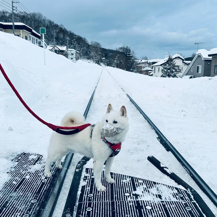 15509cb0 ac32 4012 a170 61a8f9a87e82 1705189677575