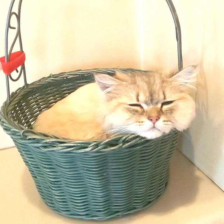 1550e3f7 124f 412b b9a5 894c5c58a84d 1592807111220