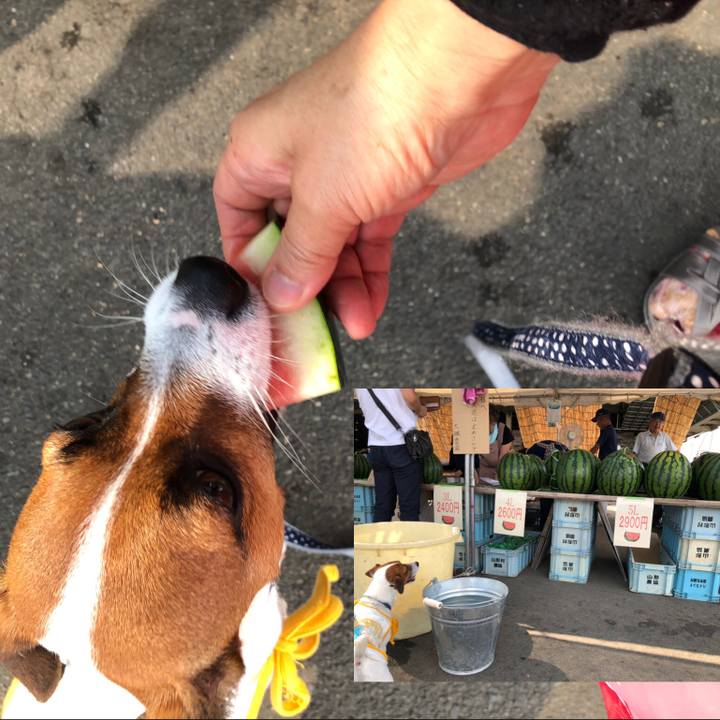 15513abb b6db 43b8 8999 2c5bee9e58d4 1564725986331