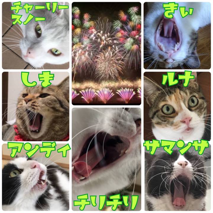 15514390 81ad 458e 9a07 df0cec857ed3 1565000938059