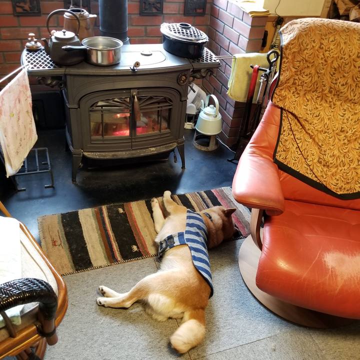 15516e84 293a 4046 b341 07cc5030fb78 1581028534957