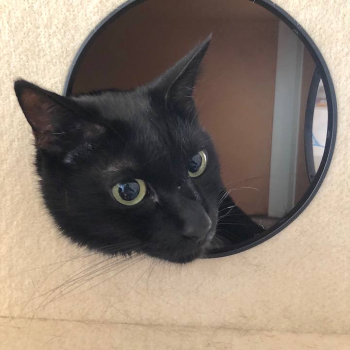 15518796 e73c 4612 afb6 0ec00988958f 1570117077279