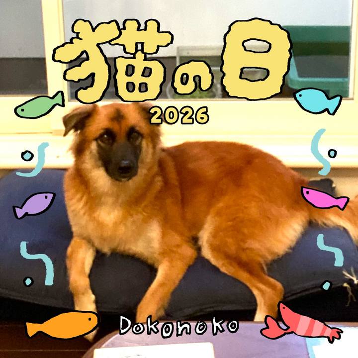 1551b90b 74bc 4a05 8903 00daa8bbfccf 1771743652372