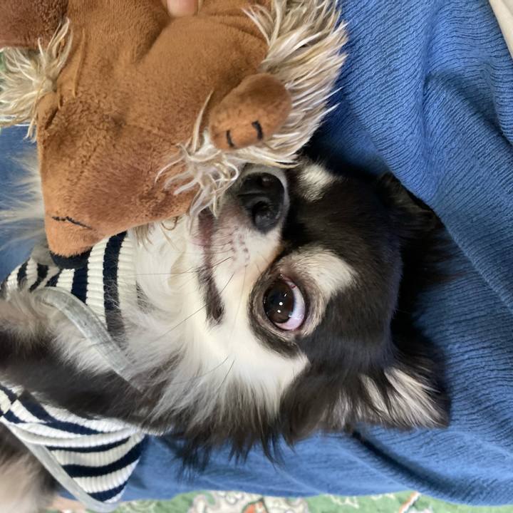 1551bde0 b180 42ff bb67 8cc09237da00 1654317460878