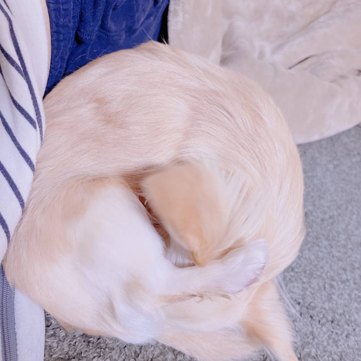 1551c94d b506 4d71 9cfd 870806c2e7ab 1679521561985