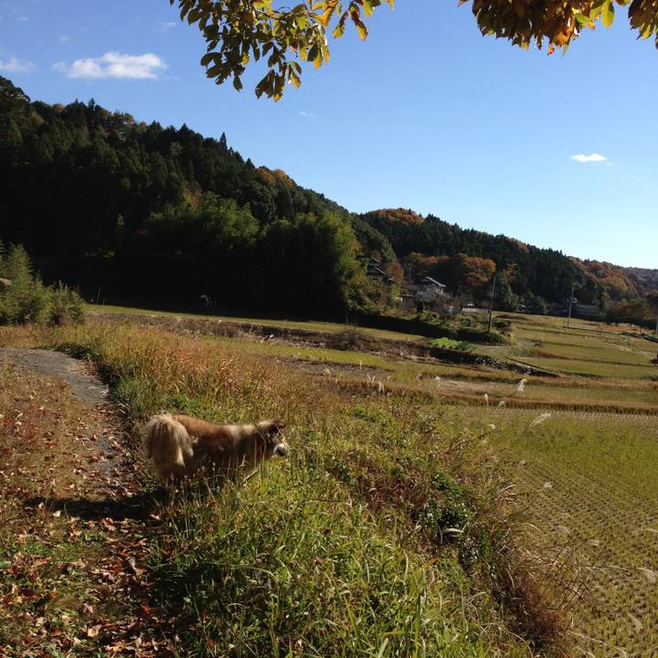 1551cea1 b8a0 4b82 bb7e a82f35347683 1603177936688