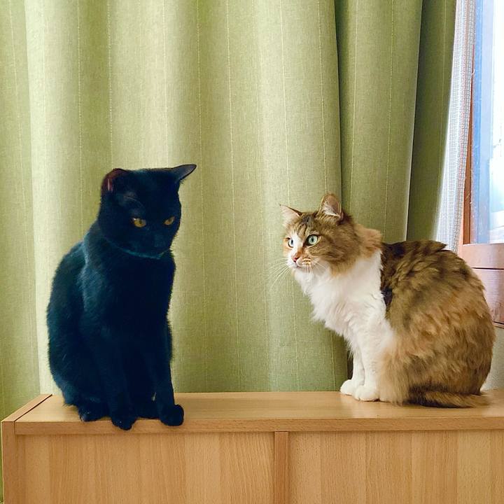 1551f812 f45c 4276 86ba 7d13f1613910 1645775244869