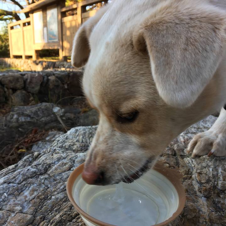 15520014 053e 488e aac6 da8cb6e2cc78 1514958451376