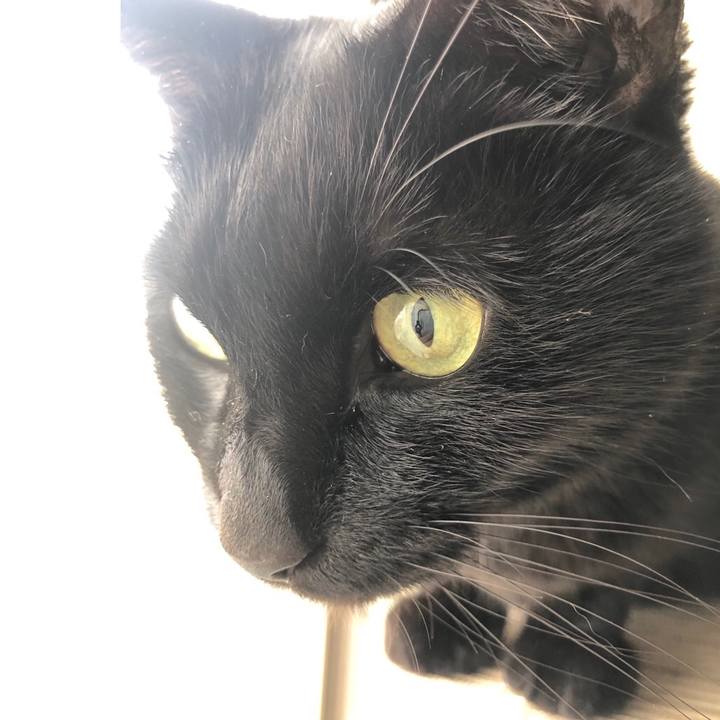 1552180e 0bf9 40e7 bf81 c9500e028694 1549116694563