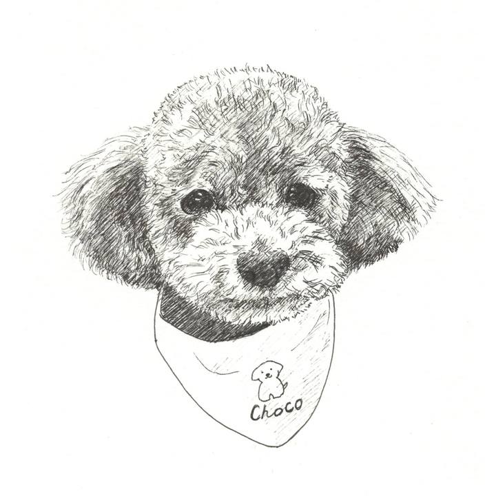 15522e39 734d 4ead 9092 3d38c8ad5e60 1571756029431