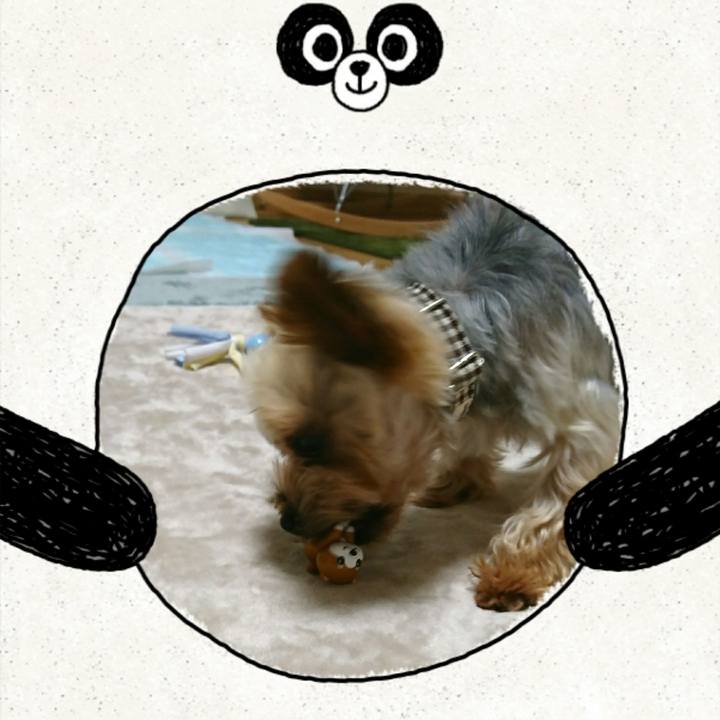 15522e4e cfdb 4715 88af 9ccafa34da87 1515587942265