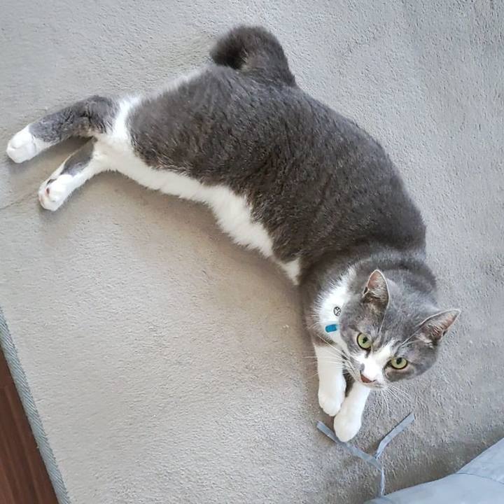 155267c1 81a6 4f28 8bd9 a38865fdf52c 1720398472242