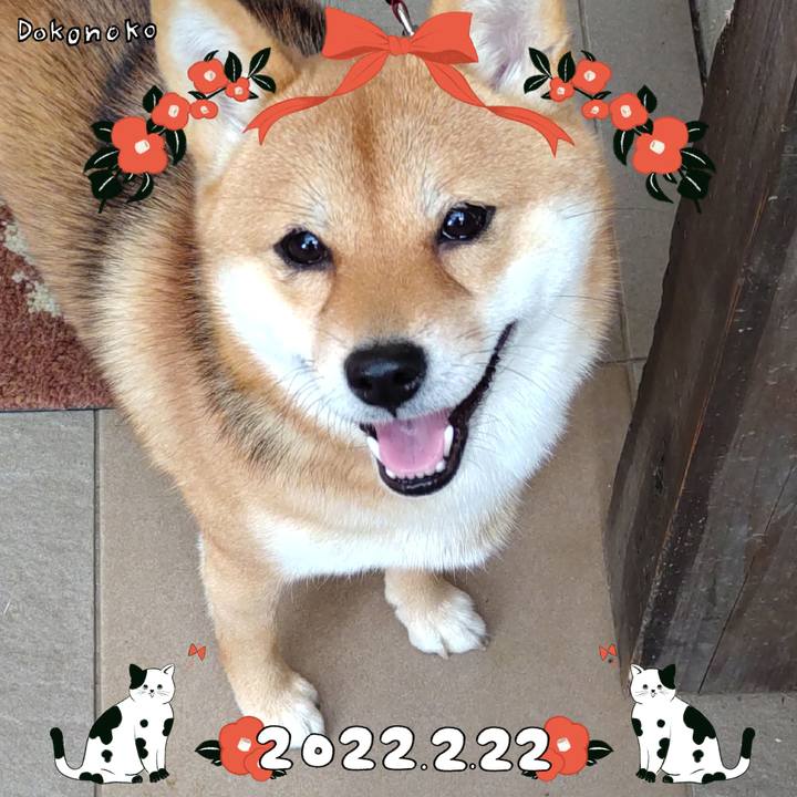 15526ccc ef2d 4e0d adbe f1b5d71c02b1 1645526414710