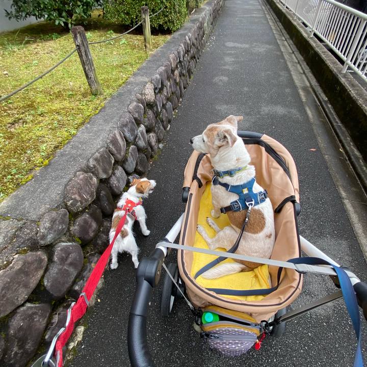 15527aa7 3cb7 4905 aff8 72f71e45b6de 1668916860895