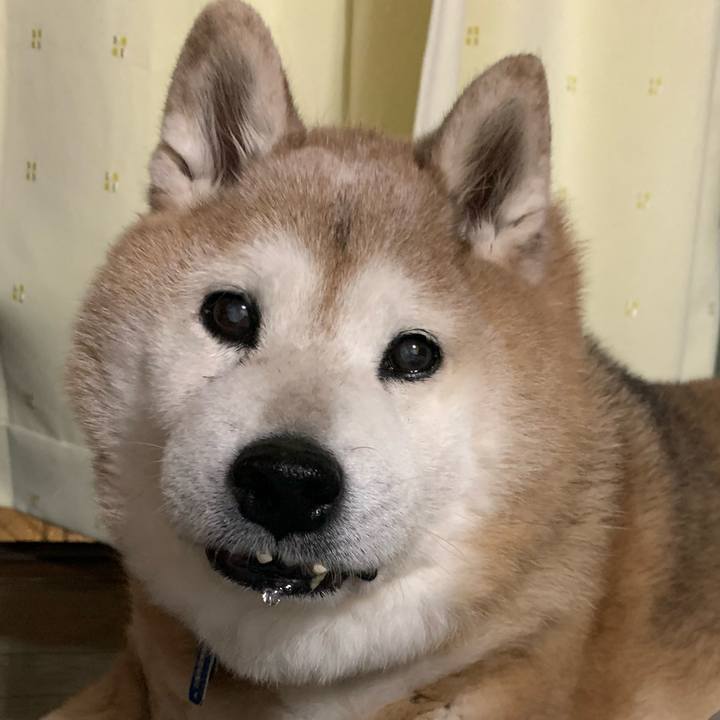 15527bf9 ce23 4dd4 a9e7 7fedfb2bf856 1648640454851