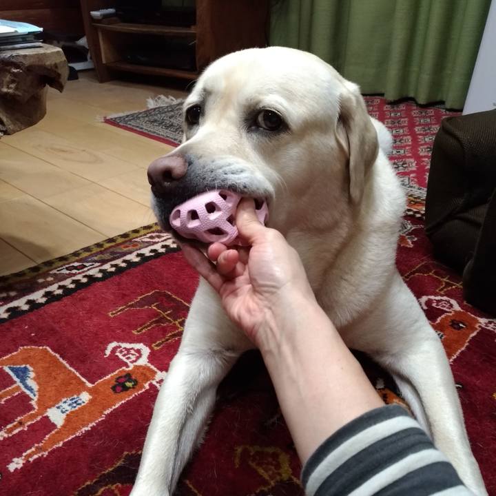 155286cc 4b11 4025 8d86 2a880ec2e3e5 1636637250410