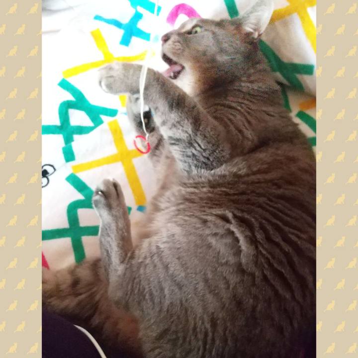 1552a654 6872 4d12 8da9 87de2dffc263 1606001642461