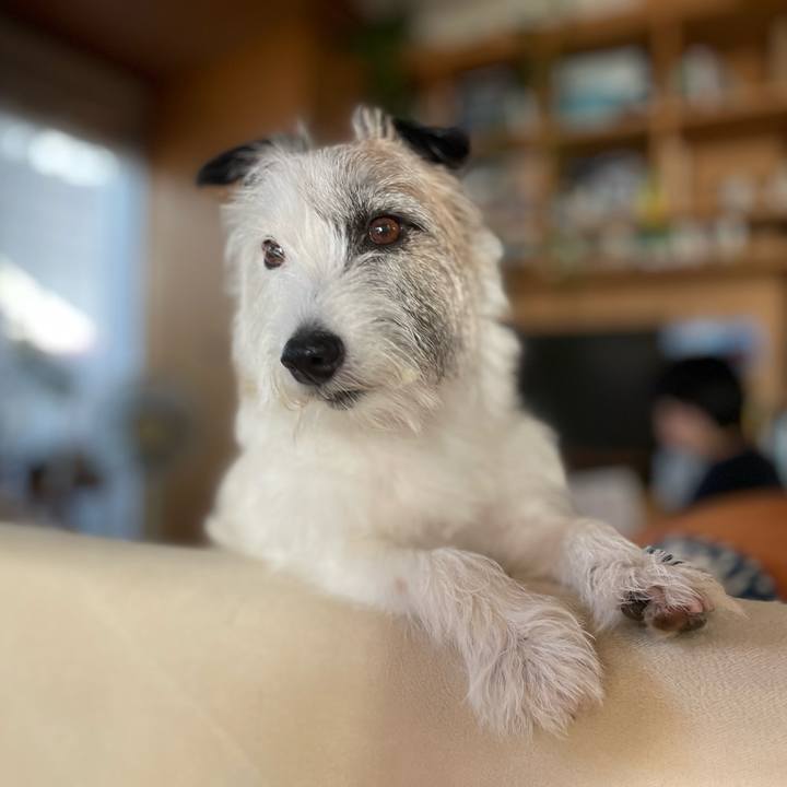 1552b968 40fe 45f3 813a 92c81d9c5bdd 1725923894514