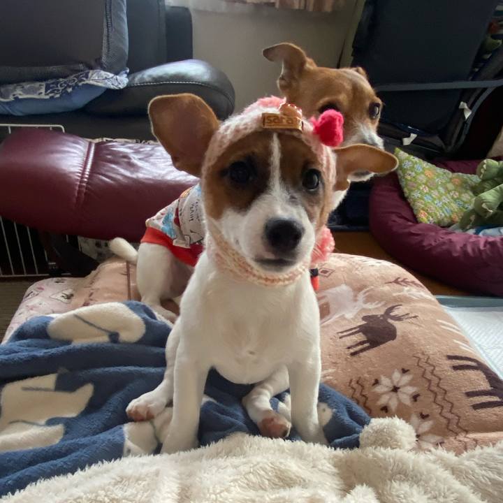 1552f765 8d44 44eb 98da 5fc09381987f 1699363624837