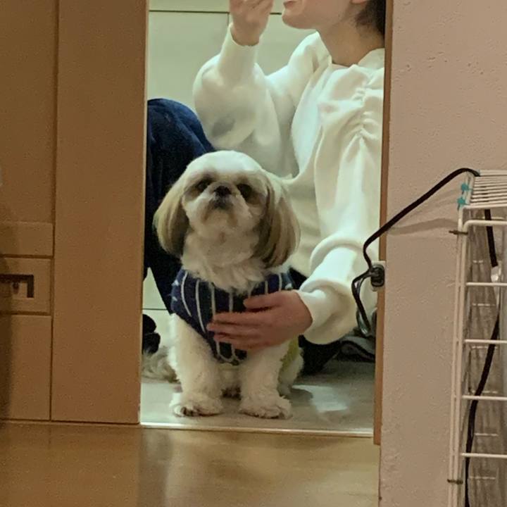 155344b3 e043 42b8 9ebc 424c0bb887af 1705243373258