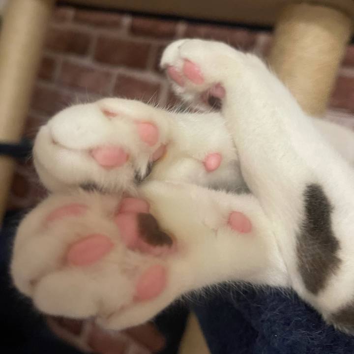 15538c74 0eeb 4659 a227 65e0988c5615 1641727613906