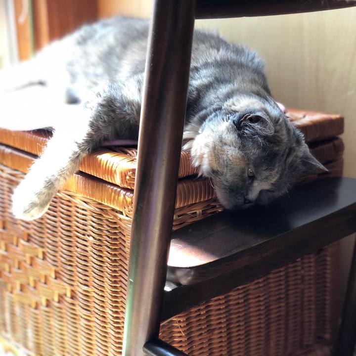 1553a40d 14bd 43bf 9c9a 31e9a3f8f7af 1773767729789