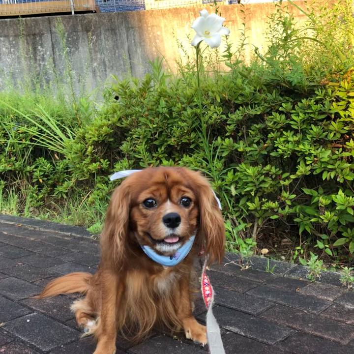 1553b2bf bc46 4ddb 94ed e2122c607111 1597534711802