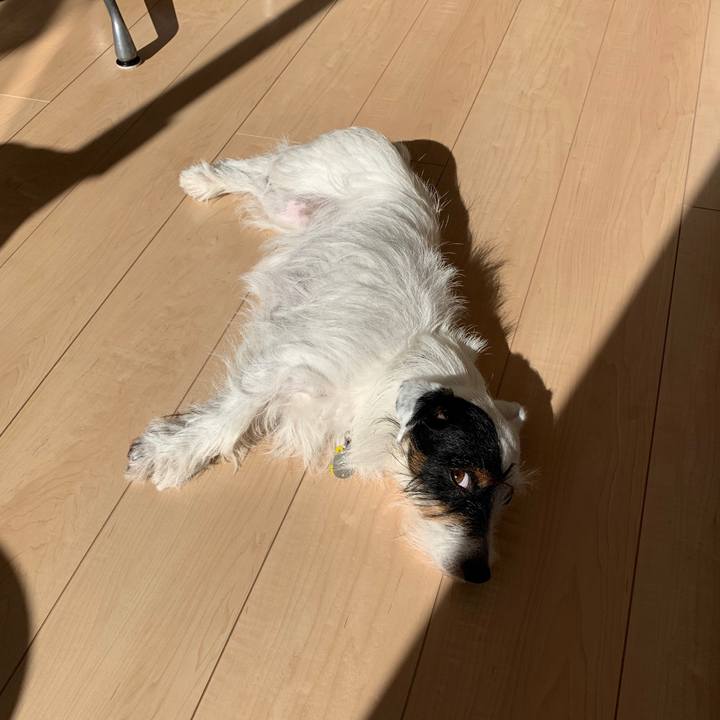 1553b58a bcb6 4627 93ce 714d15a3d08f 1573532125317