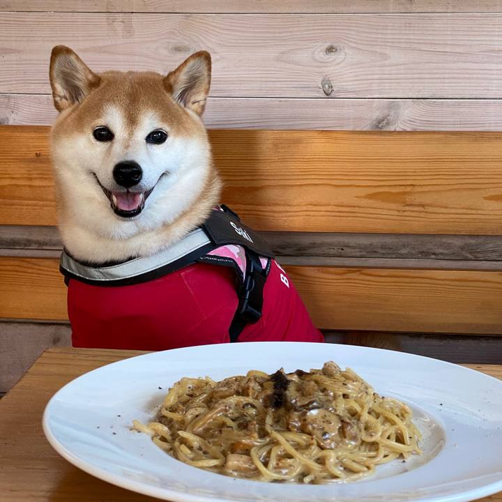 1553b821 0910 4846 a707 9269b4e23d91 1663484708832