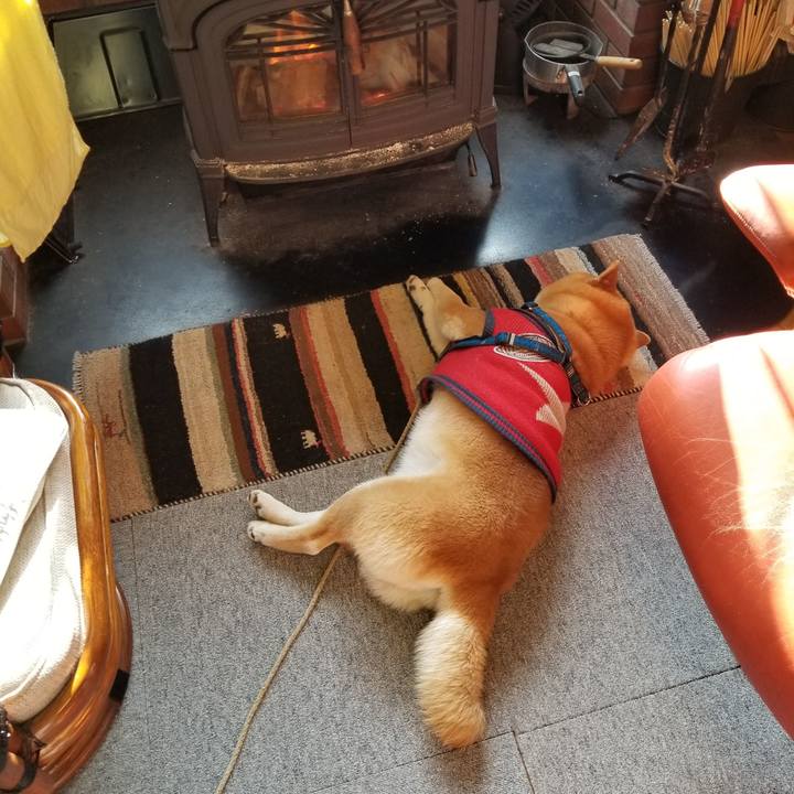 1553c754 80dd 4349 9951 3c6d70b65858 1553383784734