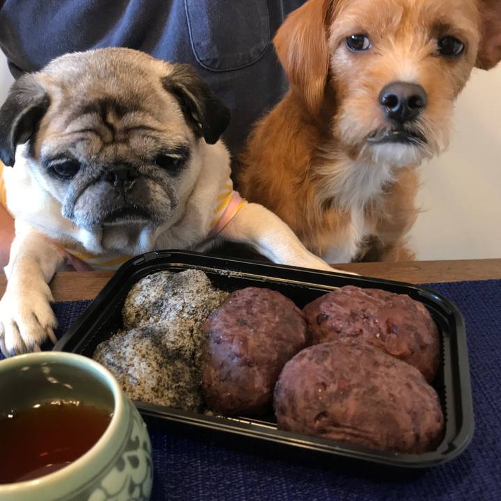 15546ee8 4d72 42ea b254 b925f0a44a0c 1568964386740