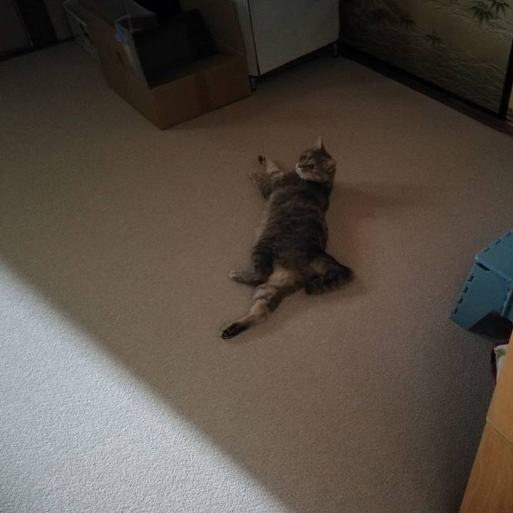 15547811 5898 4a84 ad7d 9e39c336f51d 1532157812678