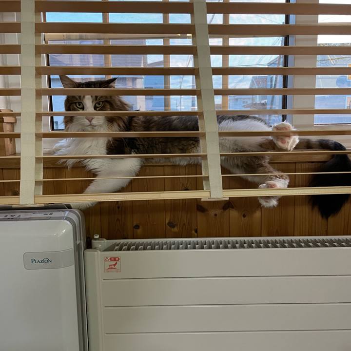 155489a9 db3d 4cf9 a789 84da8264e781 1691144456179