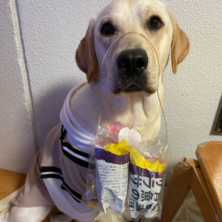 1554cc2c ea68 4c43 8a83 107d1858d6b3 1638521887756