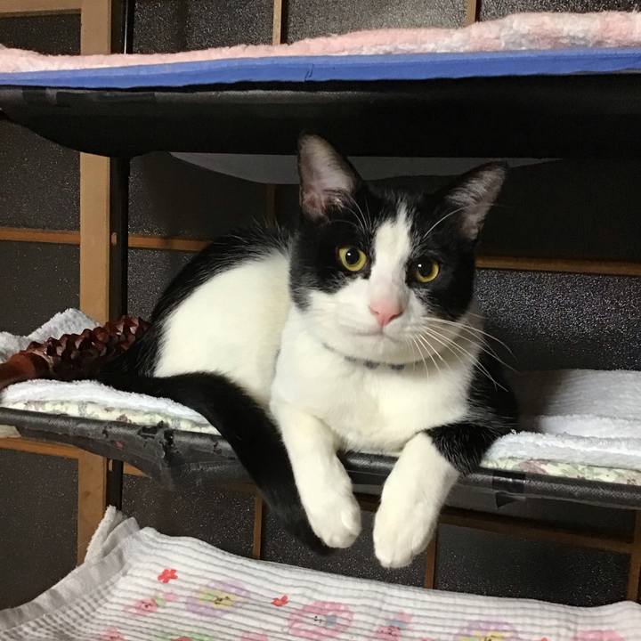 15552aa3 a671 4b3e 8916 a78dab14ec61 1642306766232