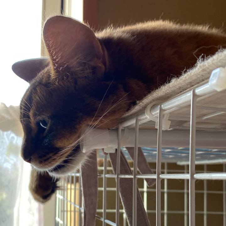 1555450f 5812 4e27 b09b 81d923aa54e2 1663454378262