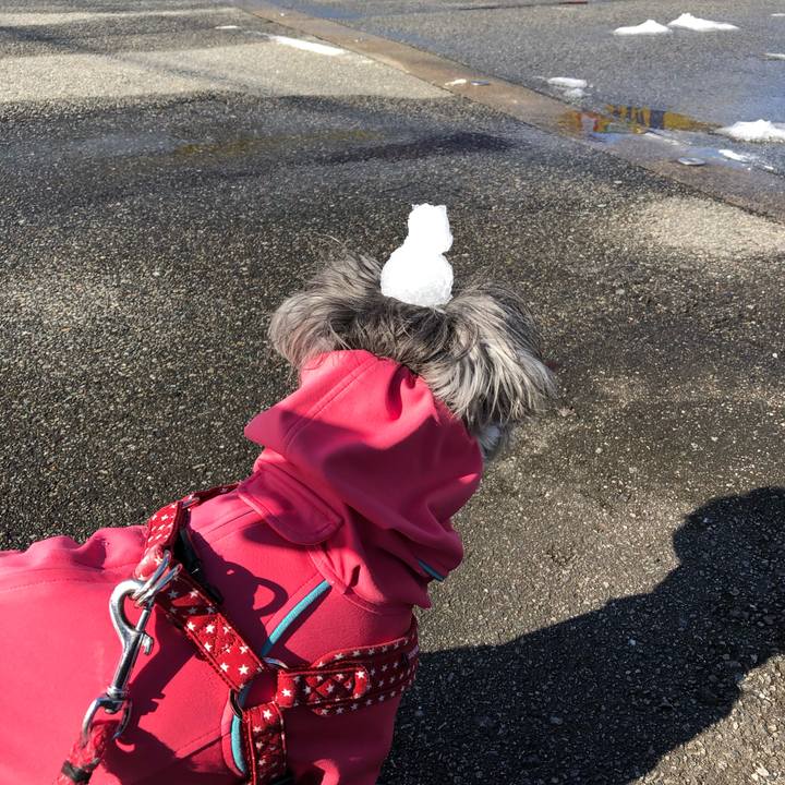 15557525 b968 4996 a907 ecec7c69668a 1548565706721