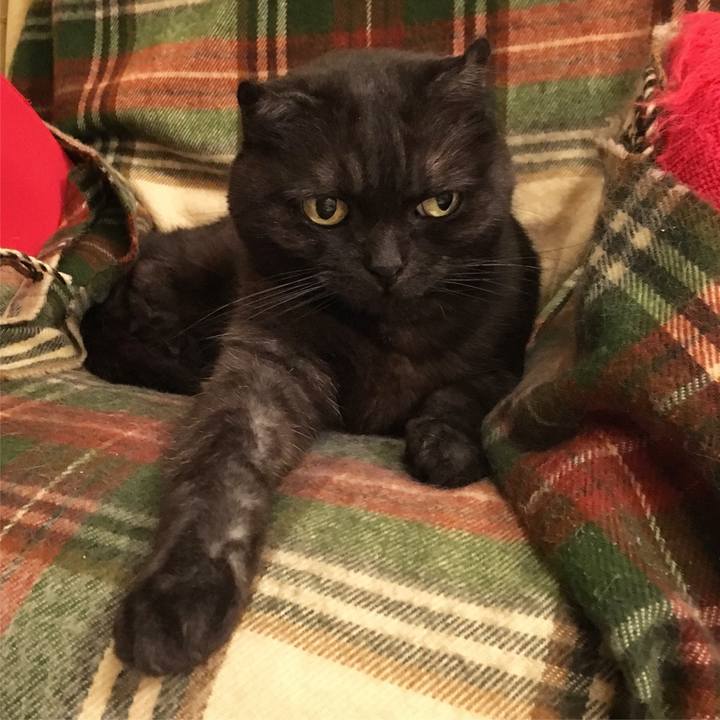 15557825 91c4 45b2 b207 6384c8235fd7 1527344868767