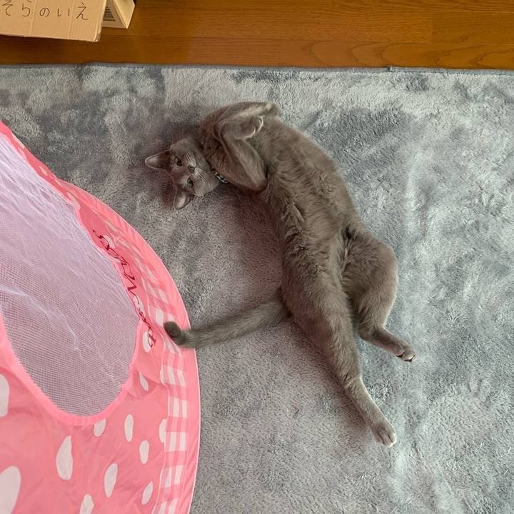 15559463 b52c 4ef6 aca7 14637ed8a712 1633566199827