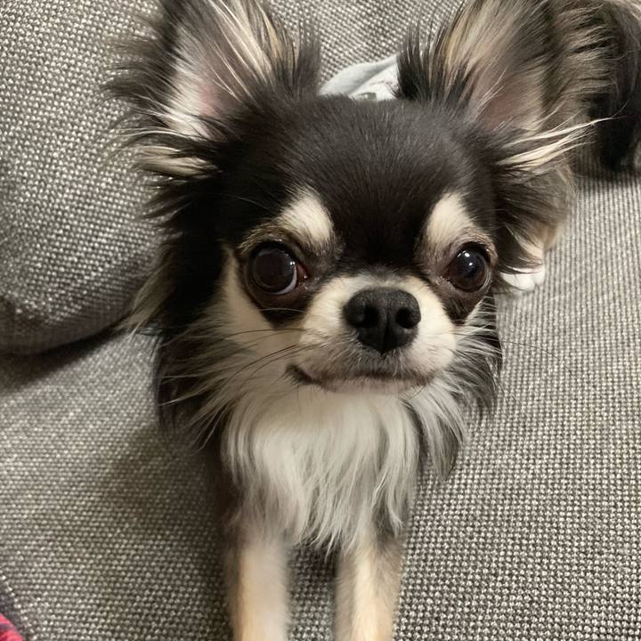 1555bc29 bc43 441a 9a79 5f68d4d7386f 1615036882080