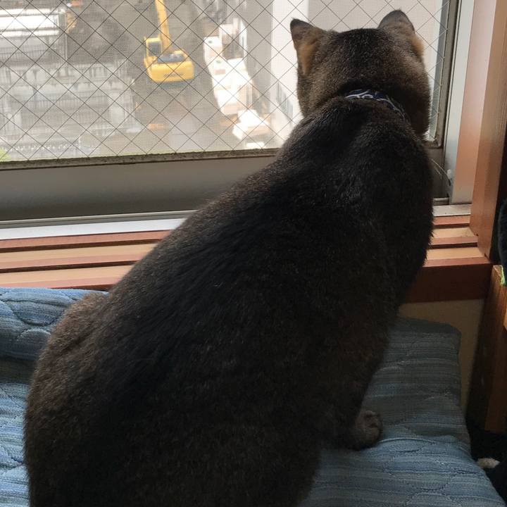 1555d15b d354 43e6 a035 bb9e13ea1e2b 1529747548240