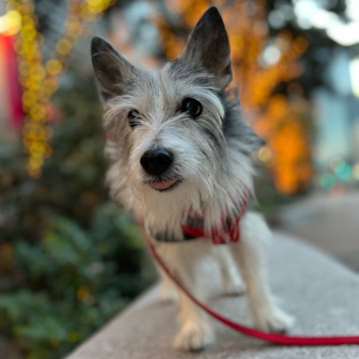 1555d2ca f814 4794 8851 b19b86a99595 1640782781491