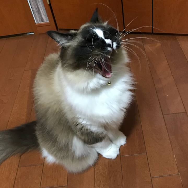 15565fd0 b22f 448c 8f89 14ea723b0f36 1520548088529