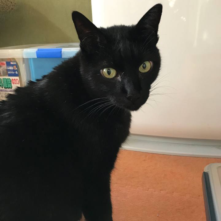 15569873 3797 43ff b93a 1e2b6d71a988 1518137997323