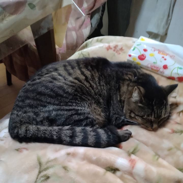 15569e85 6b77 4402 b27f f127ef1af852 1673998001980