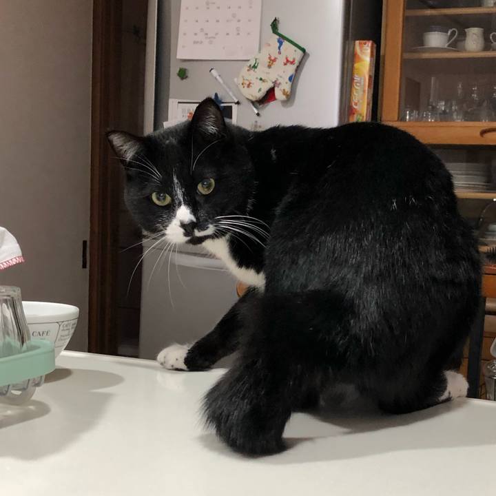 15569f64 caed 4751 9286 27ffbcf1fc85 1554695570507