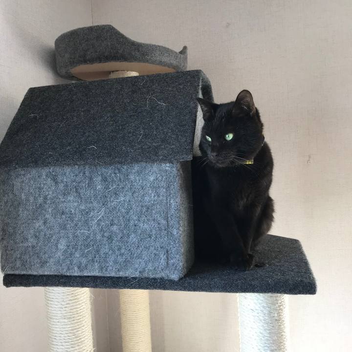 1556d9ba 3532 4fb6 a8d7 8e105f6e3d16 1561245432127