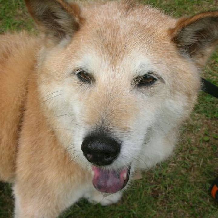 155711b9 ca2c 42fb a677 30d473543e8d 1562366279585