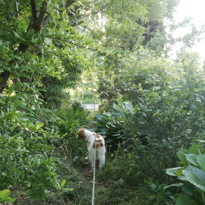 15571346 1f20 417b 86ce 64c2d8dd5981 1525437290193